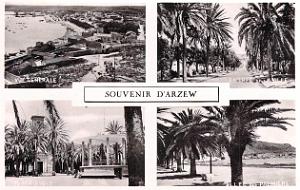 Arzew 310